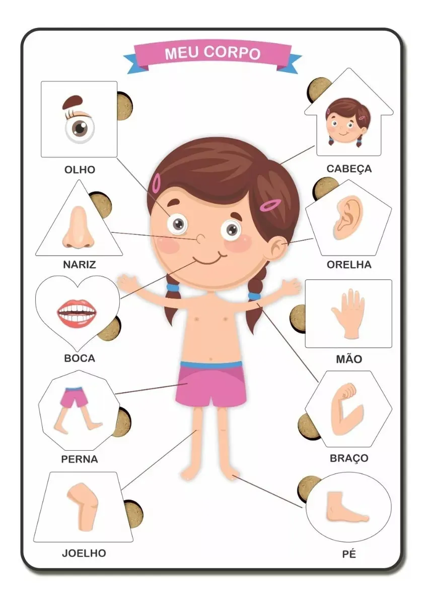 Brinquedo educativo de madeira corpo humano menina colorido com peças de encaixe Montessori